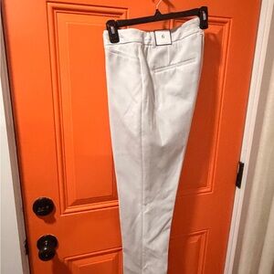 Stylish Light Gray Pants